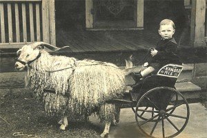 Photo courtesy of www.vintagerio.com