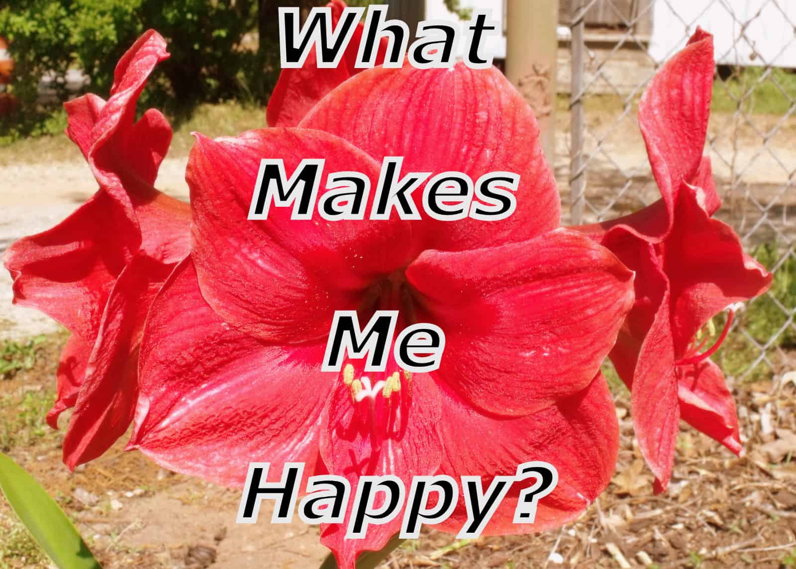 What Makes Me Happy?