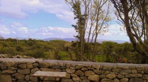 Cottage Garden View