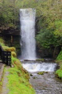 IMG_0954