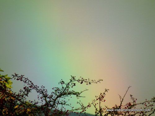 Donegal Rainbow