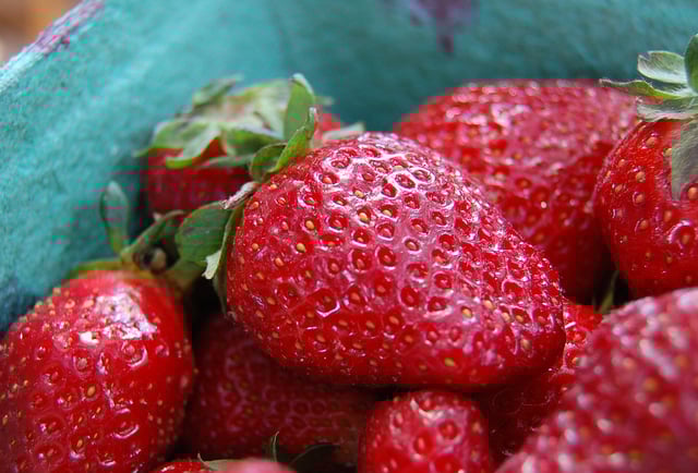Strawberries Close up view of seeds on the surface of strawberries