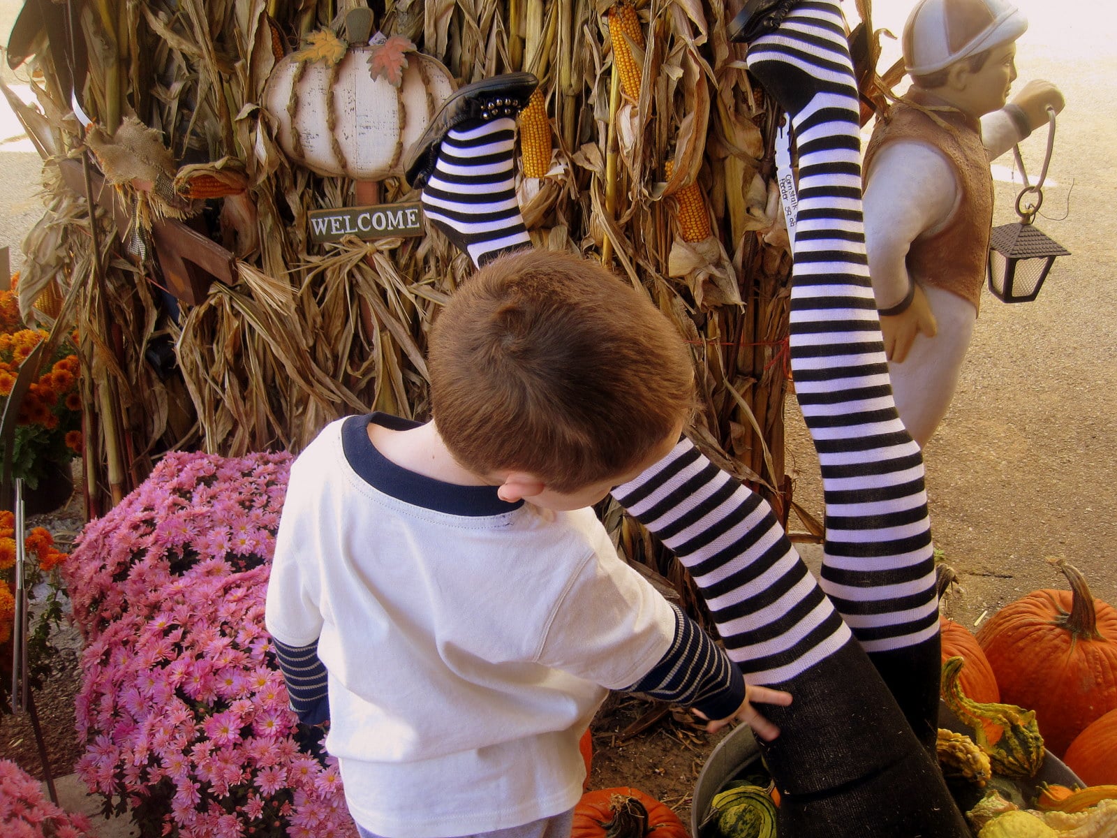 Crazy Witch Legs | Irish American Mom Little boy checking out wicked witch of the West Halloween legs