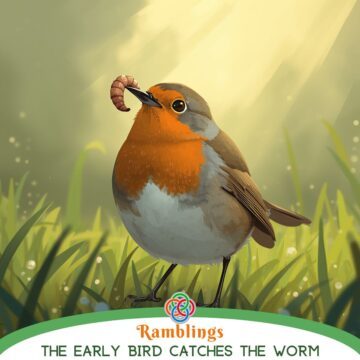 Illustration of a robin standing in grass holding a worm in its beak, with soft sunlight in the background and a motivational quote about the early bird.