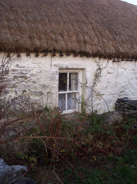 Thatched cottage window