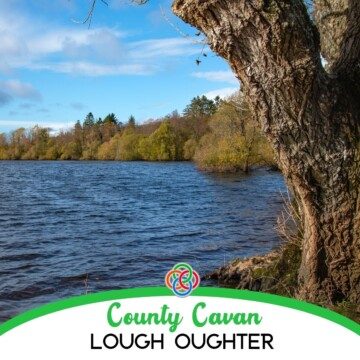 Tree by a lake with text banner