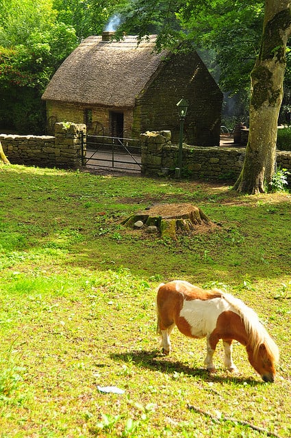 Bunratty Folk Park | Irish American Mom Pony in a field beside a cottage
