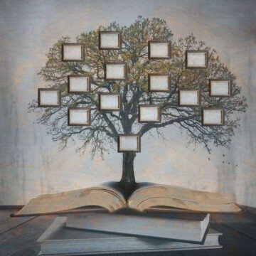 A tree with frames on the branches on an open book