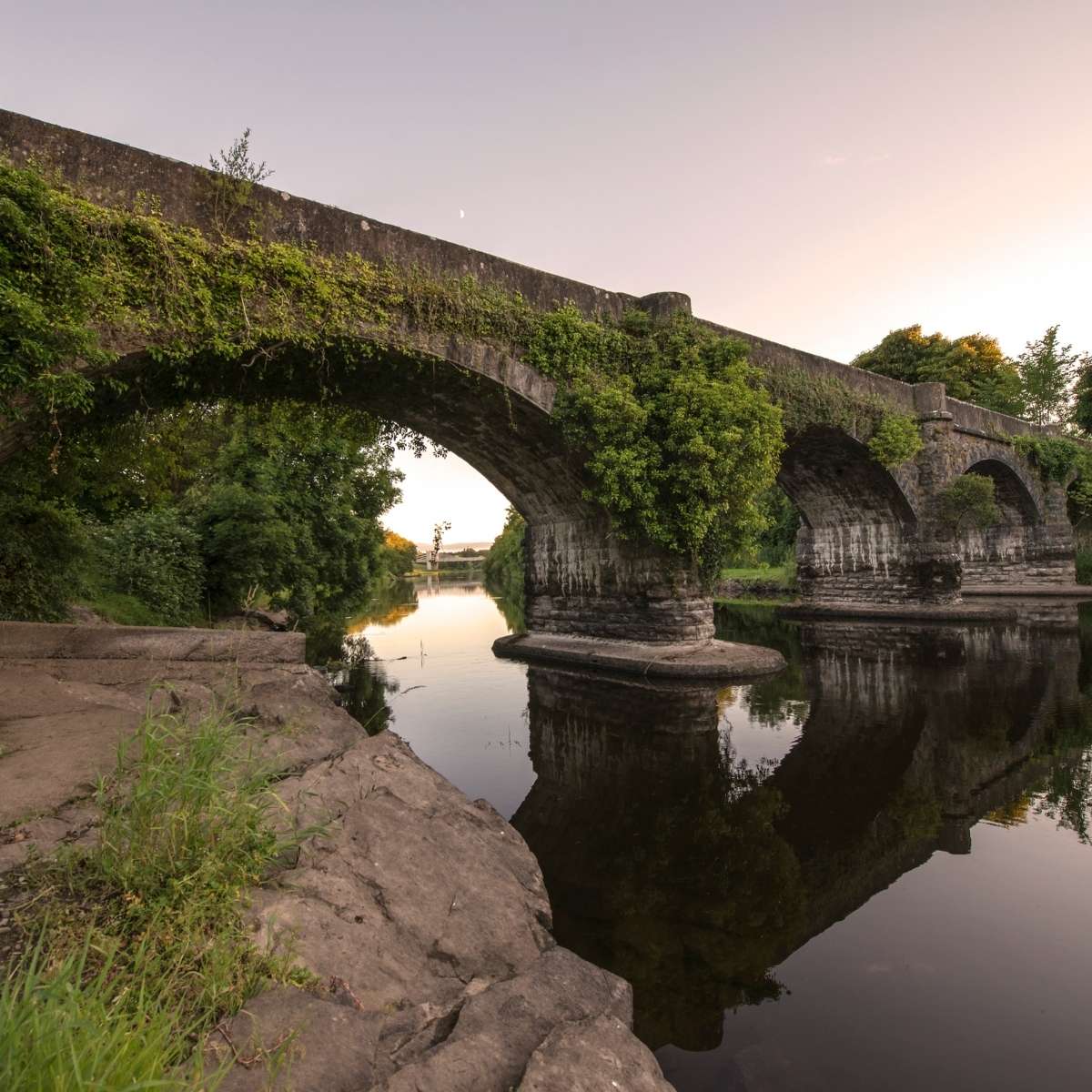 County Cavan Irish American Mom