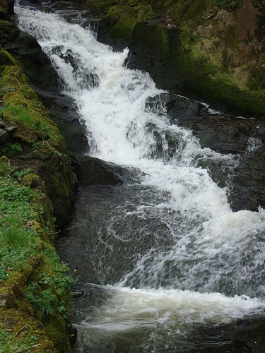Coleraine University Gardens | Irish American Mom Waterfall cascading over rocks