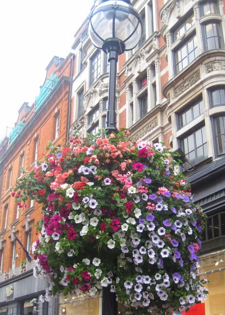 Grafton Street Flower Basket A close up of a flower arrangement in front of a building