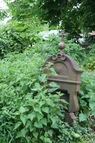 nettles growing around an old gravestone | Irish American Mom Nettle plants beside a grave marker