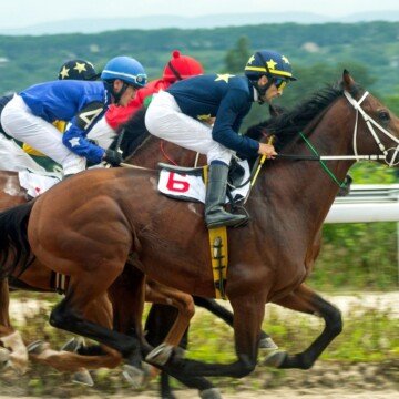 Jockeys riding race horses in a race