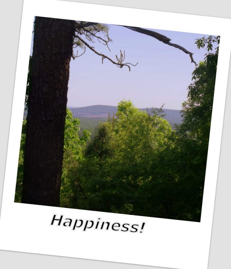 Polaroid shot of a tree bordered view of a mountain