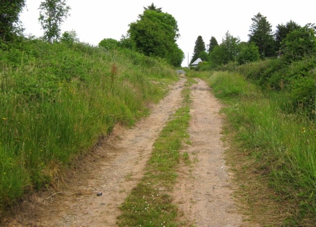 A grass verge in the middle of an dirt Irish farm road