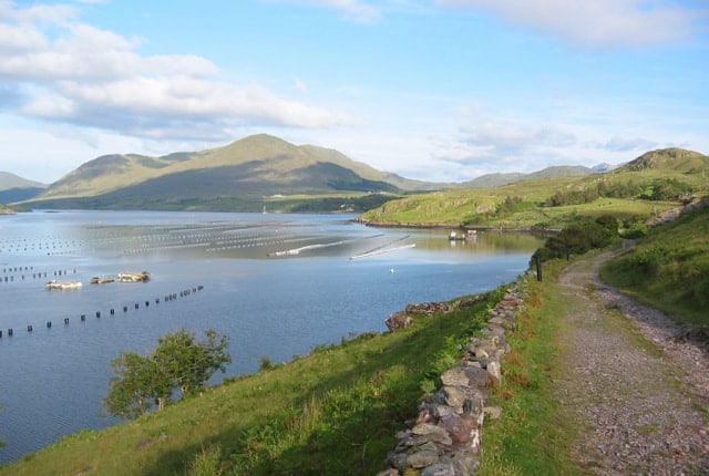 Killary Harbor on a summer evening | Irish American Mom Fish farm in the water along Kilary Harbor