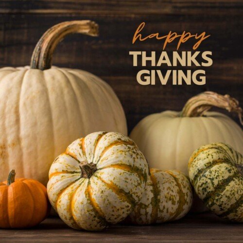 Selection of pumpkins with text overlay