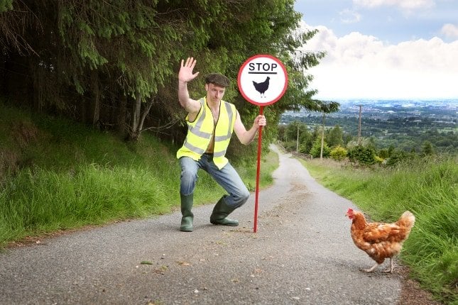 July Farmer Calendar Image - Chicken Crossing | Irish American Mom A person holding a stop sign on the side of a road