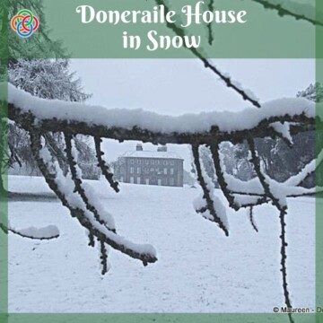 Snow on a branch with a house plus text banner