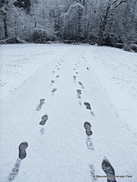 Foot prints in snow foot prints leave a track on a snowy path
