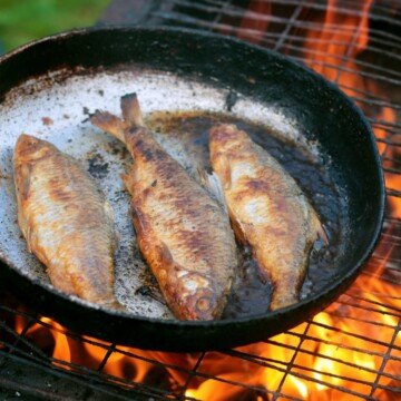 Three fish frying in a skillet balanced on a grill over an open fire