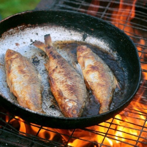 Three fish frying in a skillet balanced on a grill over an open fire