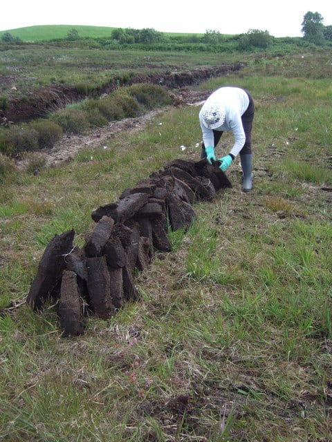 Woman stacking turf or peat