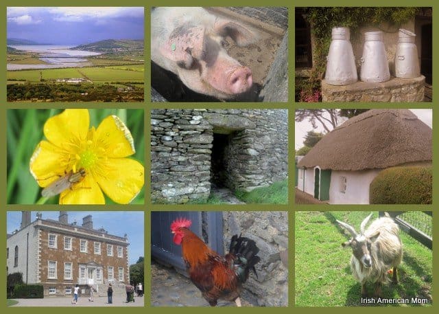 Photos Of Ireland In Collage