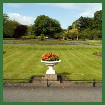 Red flowers in a planter stand in a park