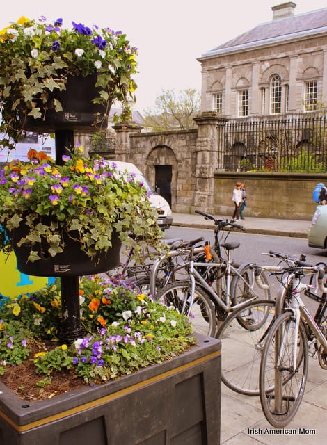 Flower Display Outside Trinity College, Dublin. | Irish American Mom Flower Display By Trinity College Dublin