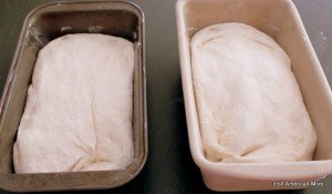 Two dough full loaf pans for Irish potato bread