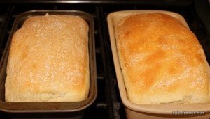 Two loaves of freshly baked Irish potato bread