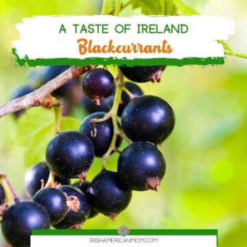 Blackcurrants on a vine with text banner