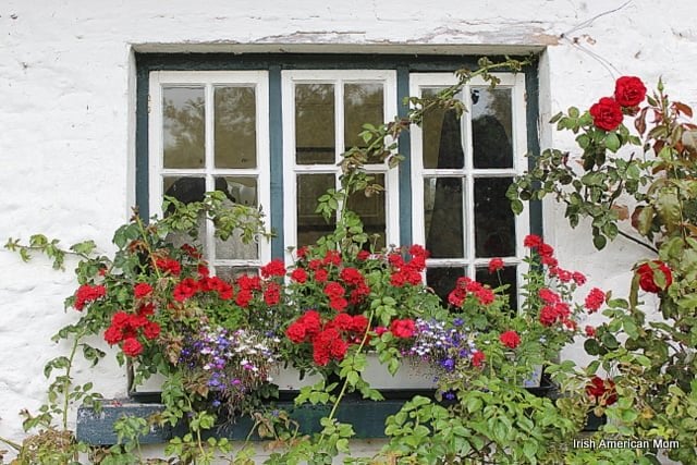 Cottage Flower Box In Adare, Co. Limerick | Irish American Mom red and purple flowers in a cottage window flower display box