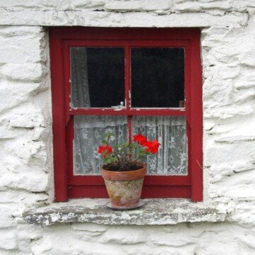 Red frame on a small window with a flower pot on the sill