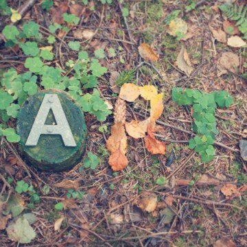 Letters shaped on wood and with leaves and placed on the dirt