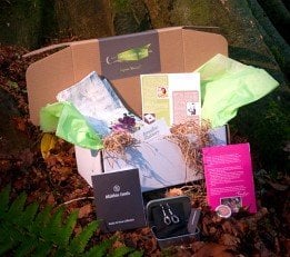 My Ireland Box - monthly subscription - sample gift | Irish American Mom Gift box and packages