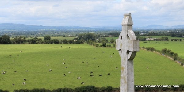 Celtic Cross in County Tipperary, Ireland | Irish American Mom Cows in an Irish field below a Celtic Cross on a hill