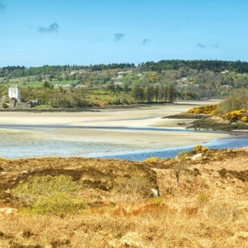 A sandy beach beside grassy fields