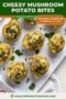 Single-image Celtic-styled poster showcasing cheesy mushroom potato bites. with upper text banner in green, cream and amber tones.