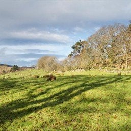 Conservation-images-the-land-pauls-photo-257x257 | Irish American Mom a lush green field