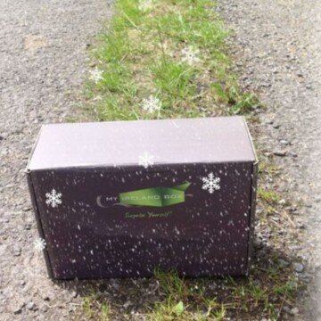 A brown box on a grass verge on a road