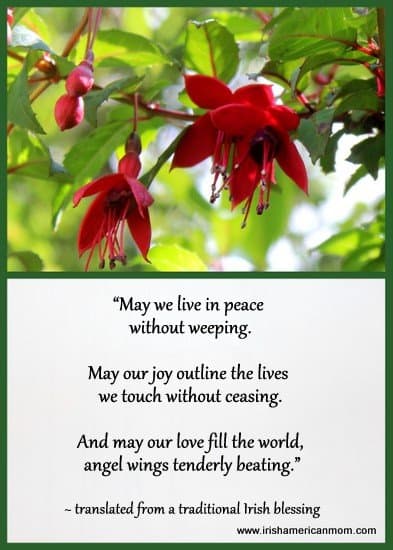 May we live in peace without weeping | Irish American Mom Red fuchsia with an Irish blessing about peace
