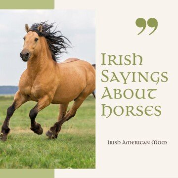 A horse on a graphic with text banners