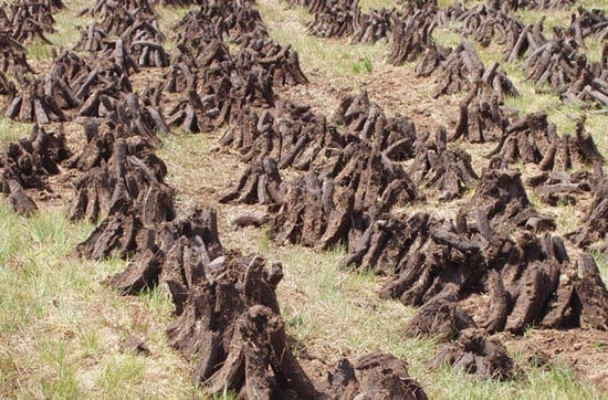 Stacked peat in a field