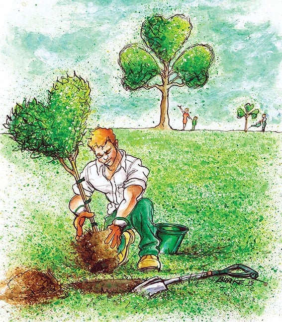 Planting a tree in Ireland - love and shamrocks | Irish American Mom Planting a tree in Ireland - love and shamrocks