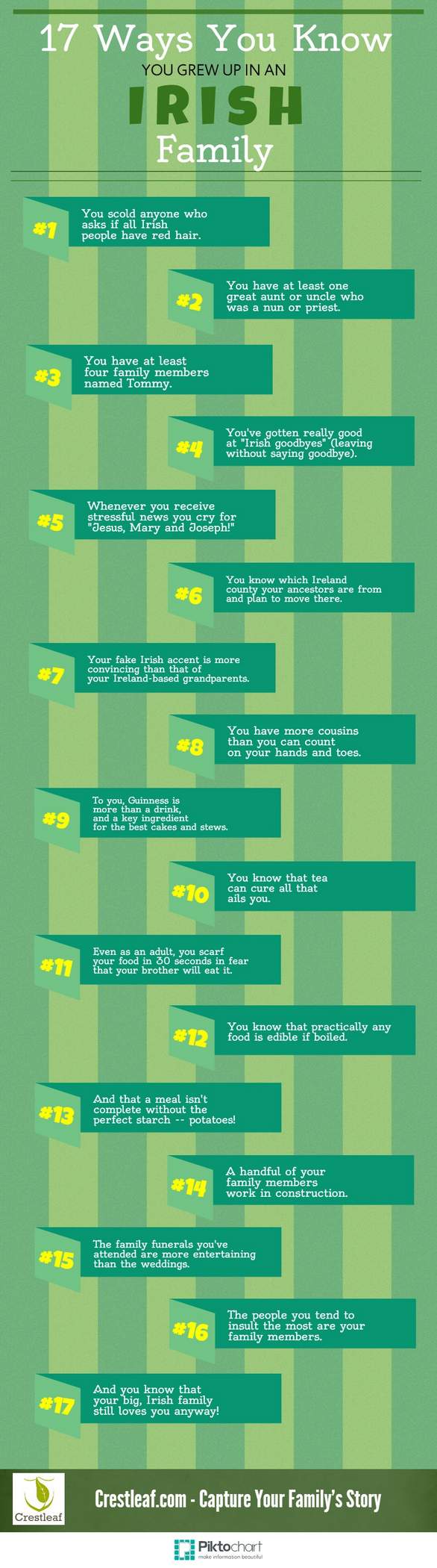 17-ways-you-know-you-grew-up-in-an-Irish-family | Irish American Mom Info graphic with green stripes and text boxes