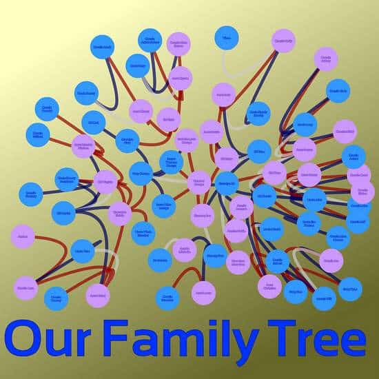 Family Tree | Irish American Mom Graphic depicting many branches of a family tree