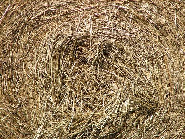A bale of hay | Irish American Mom A bale of hay
