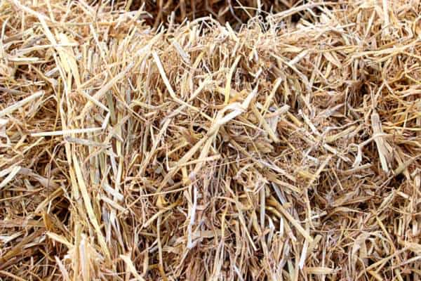 Bale of Straw | Irish American Mom Strands of a straw bale.